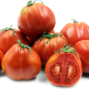 abr1 Pomodoro Abruzzese a pera semi
