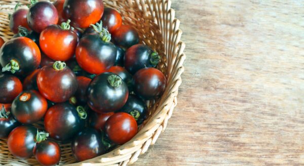 Pomodoro Blu Naturale semi