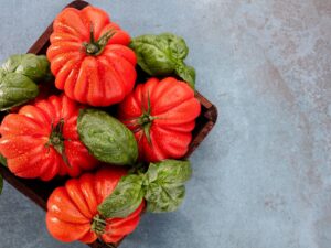 Pomodoro Costoluto di Parma semi
