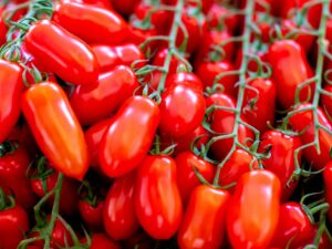 Pomodoro San Marzano semi