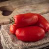 SANMAR Pomodoro San Marzano Selezione Gigante semi
