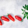 SANMAR1 Pomodoro San Marzano Selezione Gigante semi