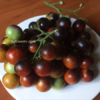 Pomodoro Indigo Cherry Drops semi