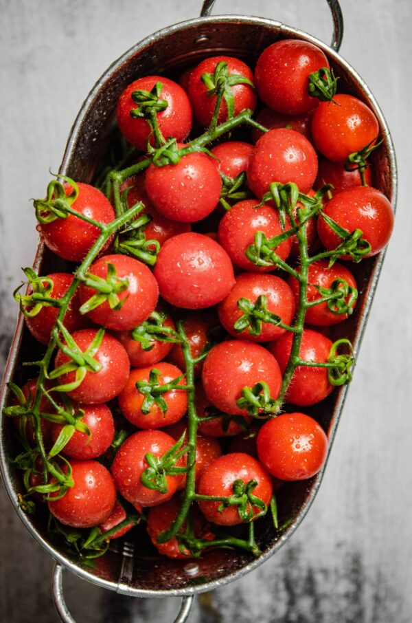 Pomodoro Koralik semi