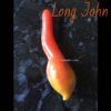 lonj3 Pomodoro Long John semi