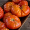 marmande (1) Pomodoro Marmande semi