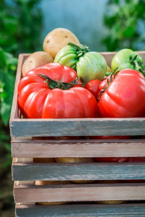 marmande Pomodoro Marmande semi