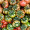 Pomodoro Muchamiel collo verde semi