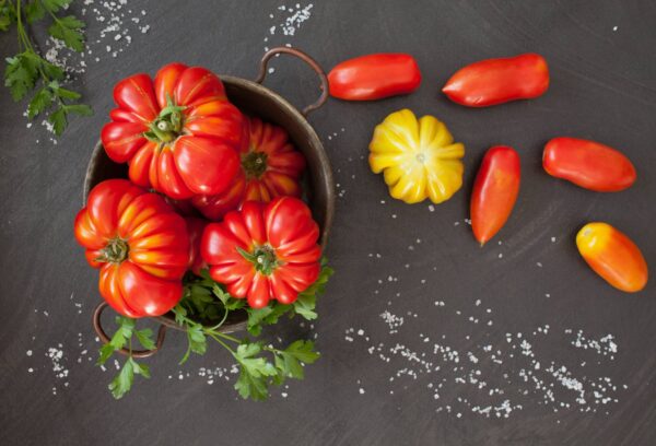 pisa Pomodoro Pisanello semi
