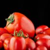 Pomodoro Rio Grande da salsa semi