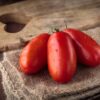 Pomodoro Rio Grande da salsa semi