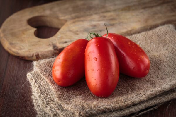 Pomodoro Rio Grande da salsa semi