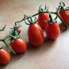 Pomodoro Re Umberto Rarissimo (Re Fiascone )