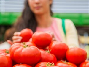 Pomodoro Rosso di San Pietro semi