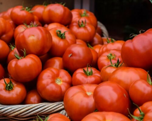 Pomodoro di Saint Pierre