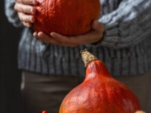 hokkaido (1) Zucca Uchiki Kuri semi