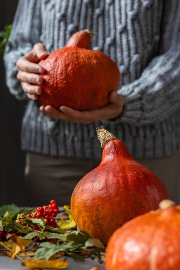 hokkaido (1) Zucca Uchiki Kuri semi