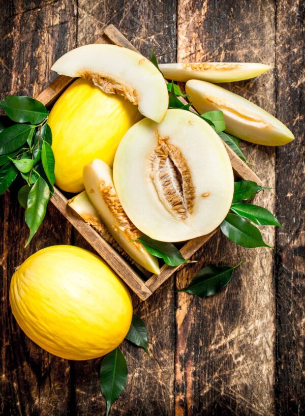 melone canario semi Melone Giallo delle Canarie - (Melone Canario o di Juan)