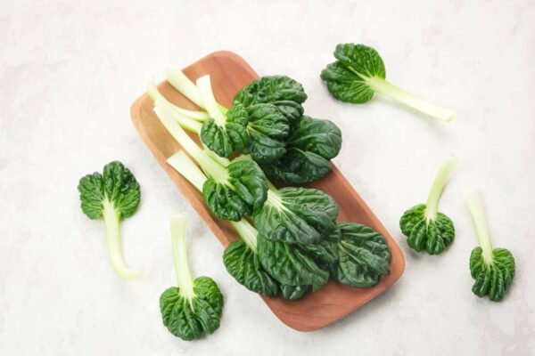 Tatsoi Rosette100 Semi