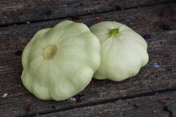 zucchino antichi indiani d'america (3) Zucchina degli Indiani d'America (Cymling/Cymlin) semi