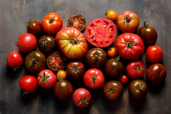 Fresh heirloom variety tomatoes on dark wooden background. Autum Pomodoro Ciliegia Brown Berry semi