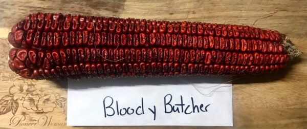 Mais Bloody Butcher