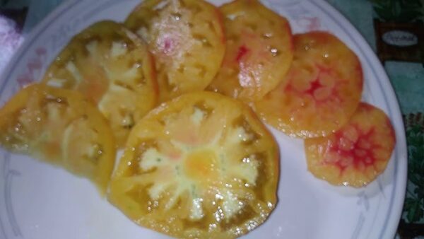 Pomodoro Ananas Semi