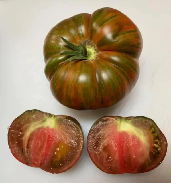 Pomodoro Chocolate Stripe semi