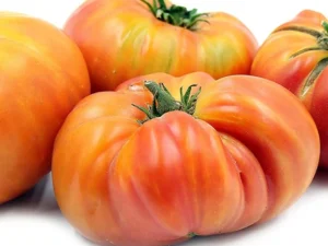 Pomodoro Hillbilly