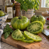 Pomodoro Green Bomb Beefsteak semi